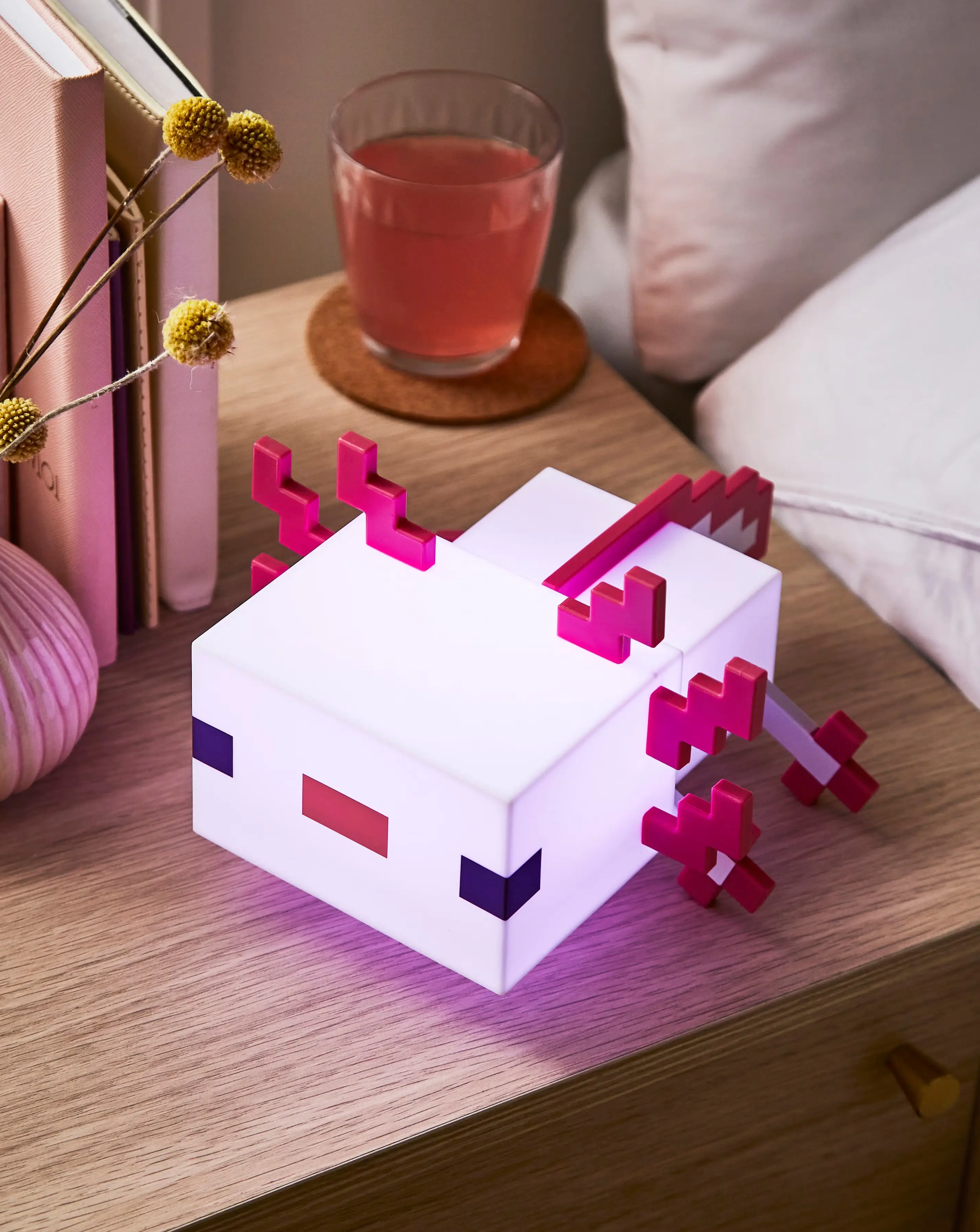 Minecraft Axolotl Light