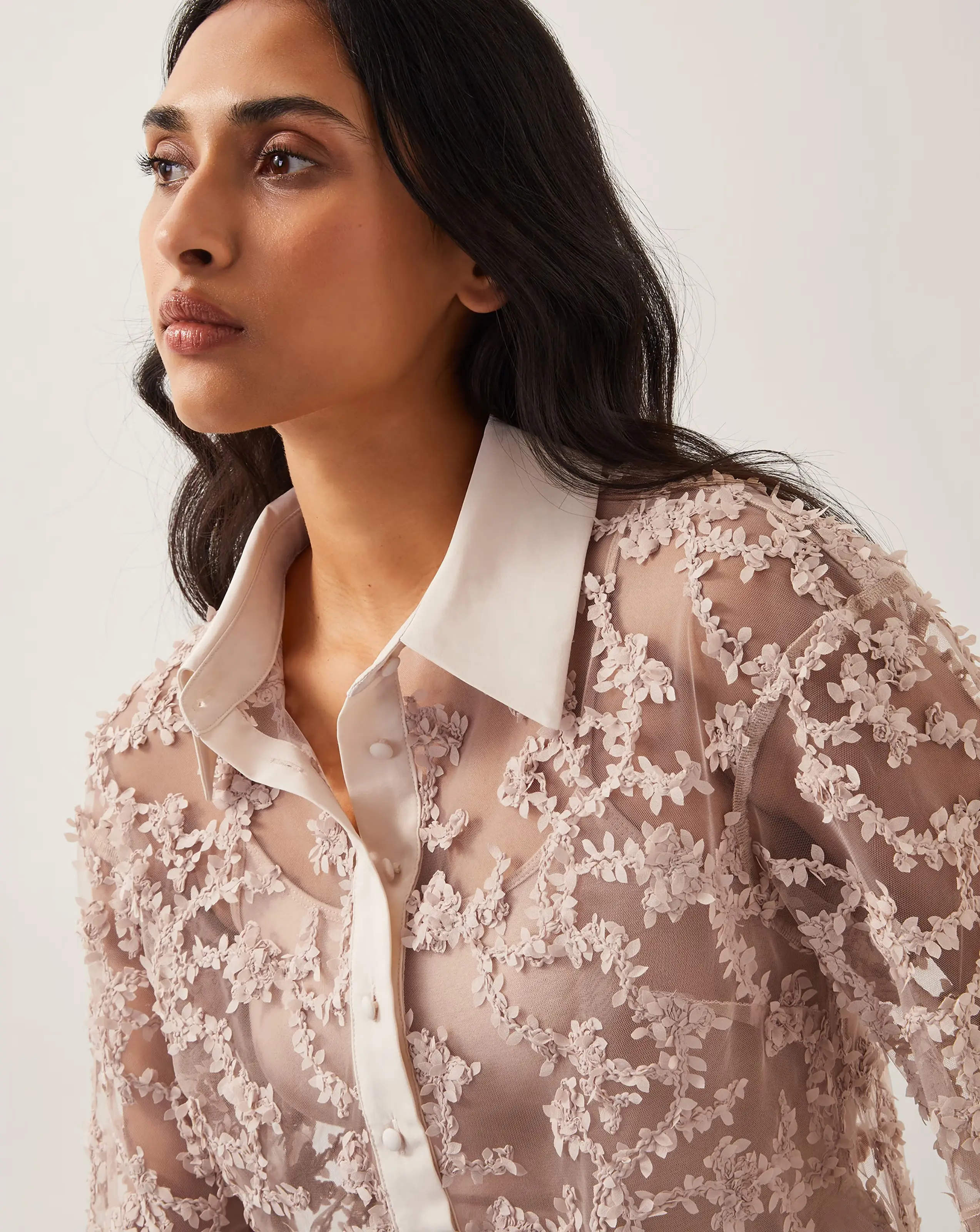 Monsoon Alanna Sheer Shirt 3 Monsoon Alanna Sheer Shirt