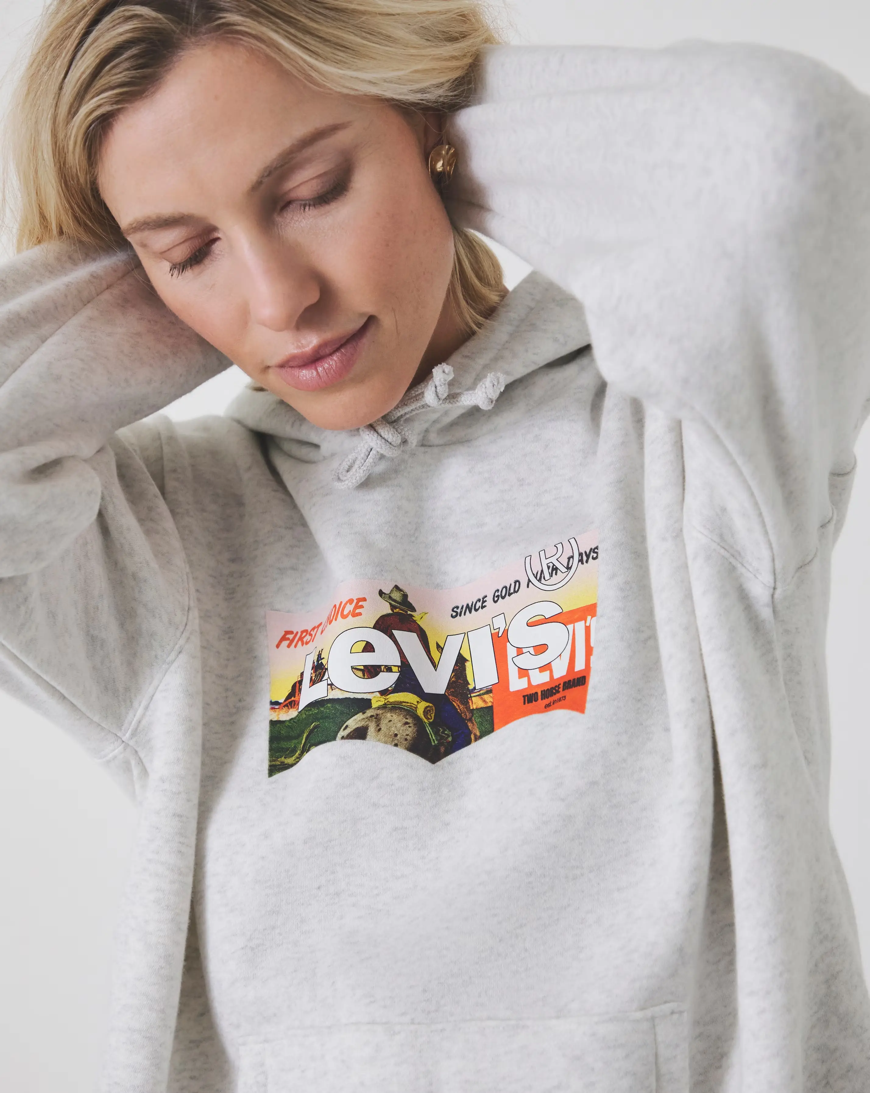 Levi's Graphic Everyday Hoodie 2 Levi's Graphic Everyday Hoodie