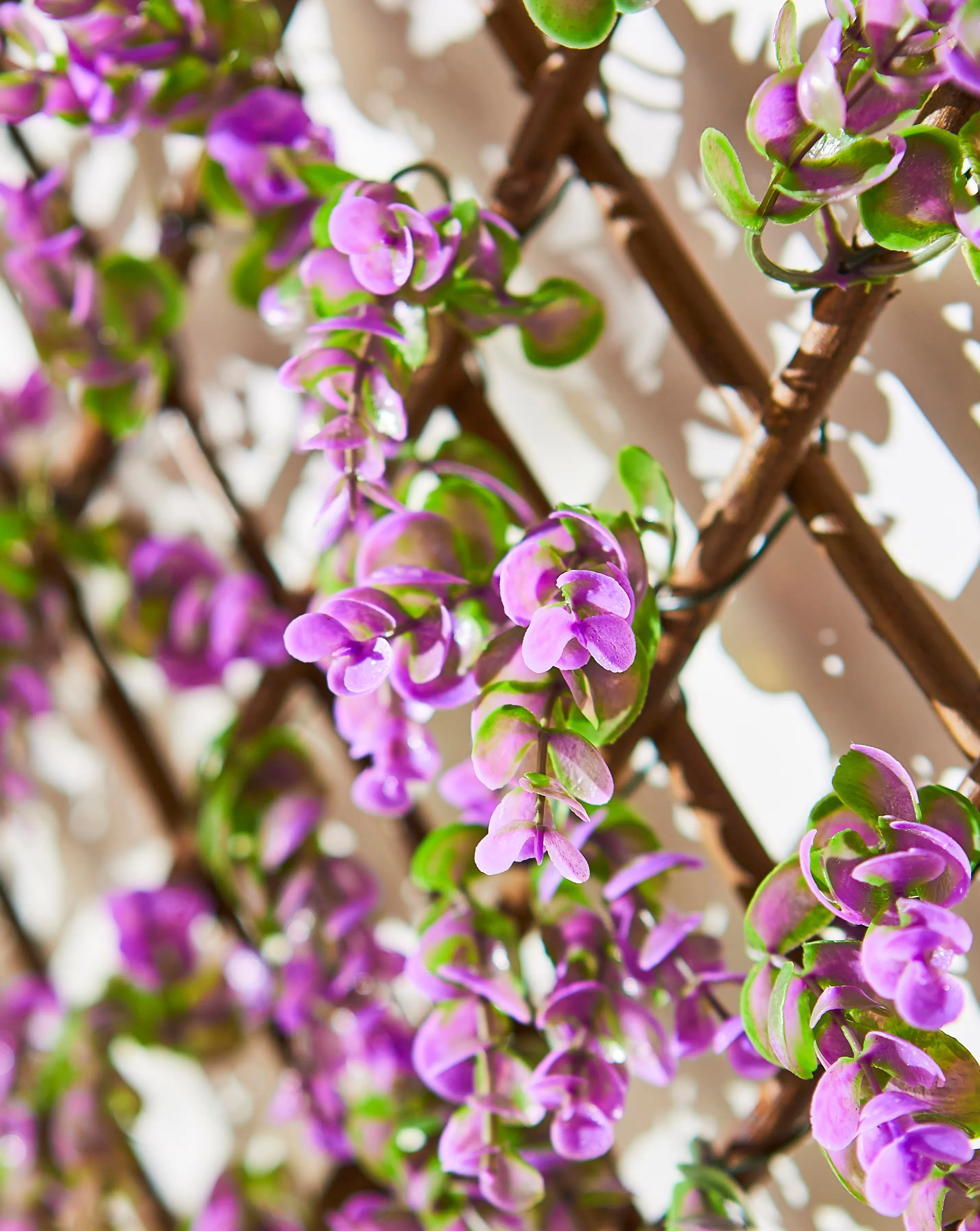 Vivid Violet Trellis 180 x 90 cm 3 Vivid Violet Trellis 180 x 90 cm