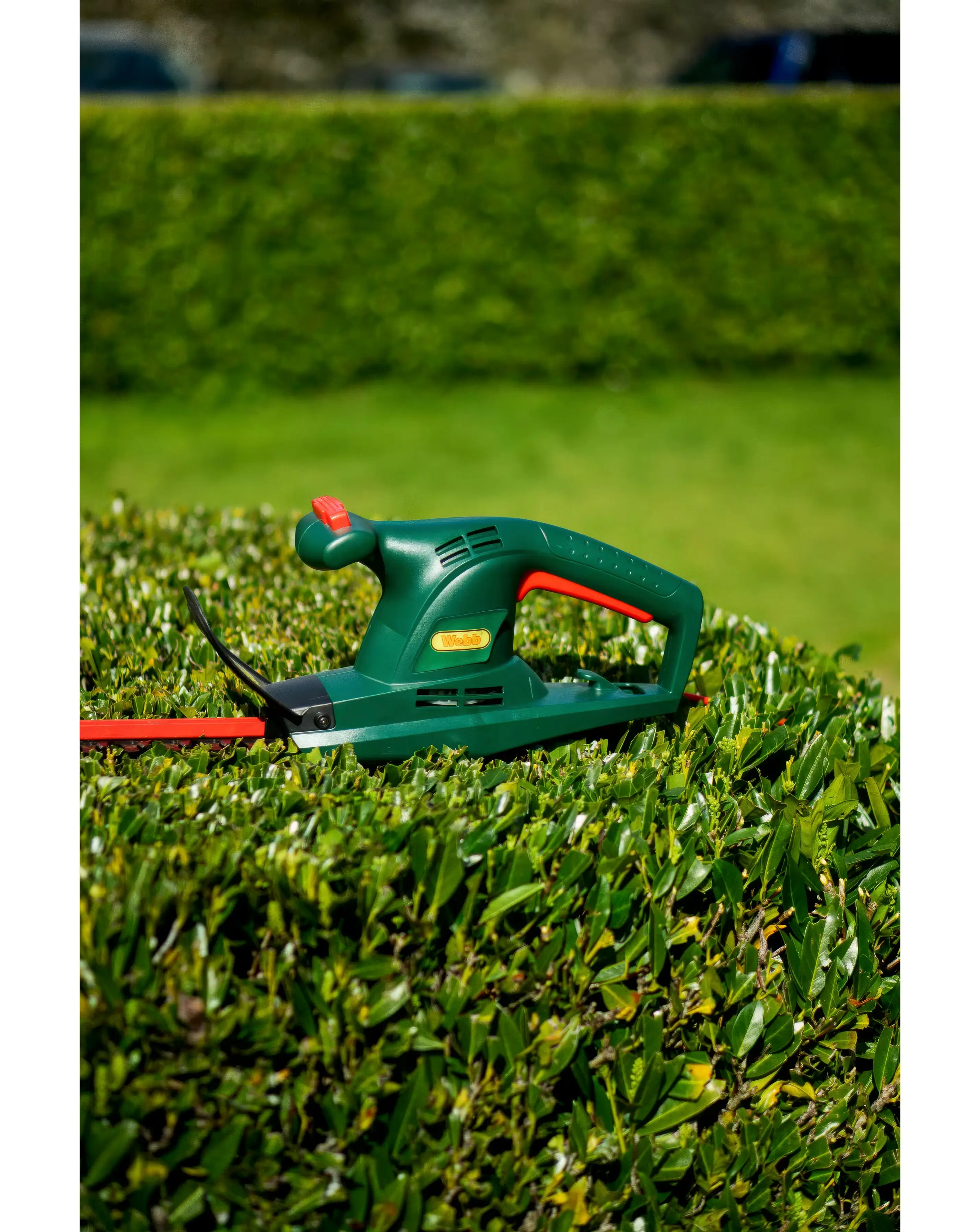 Webb Classic 500W 50cm (20) Electric Hedge Trimmer 10 Webb Classic 500W 50cm (20) Electric Hedge Trimmer