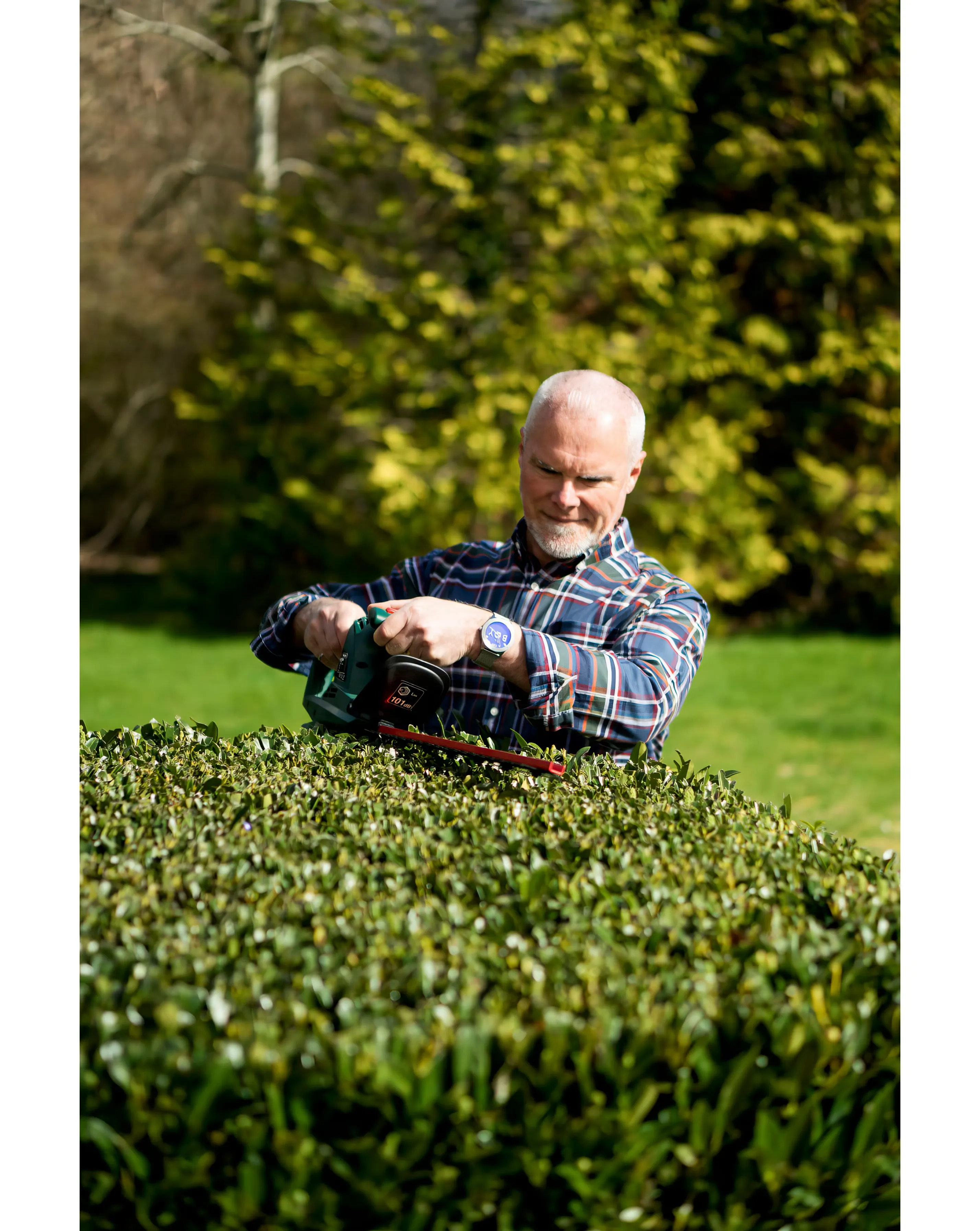 Webb Classic 500W 50cm (20) Electric Hedge Trimmer 16 Webb Classic 500W 50cm (20) Electric Hedge Trimmer