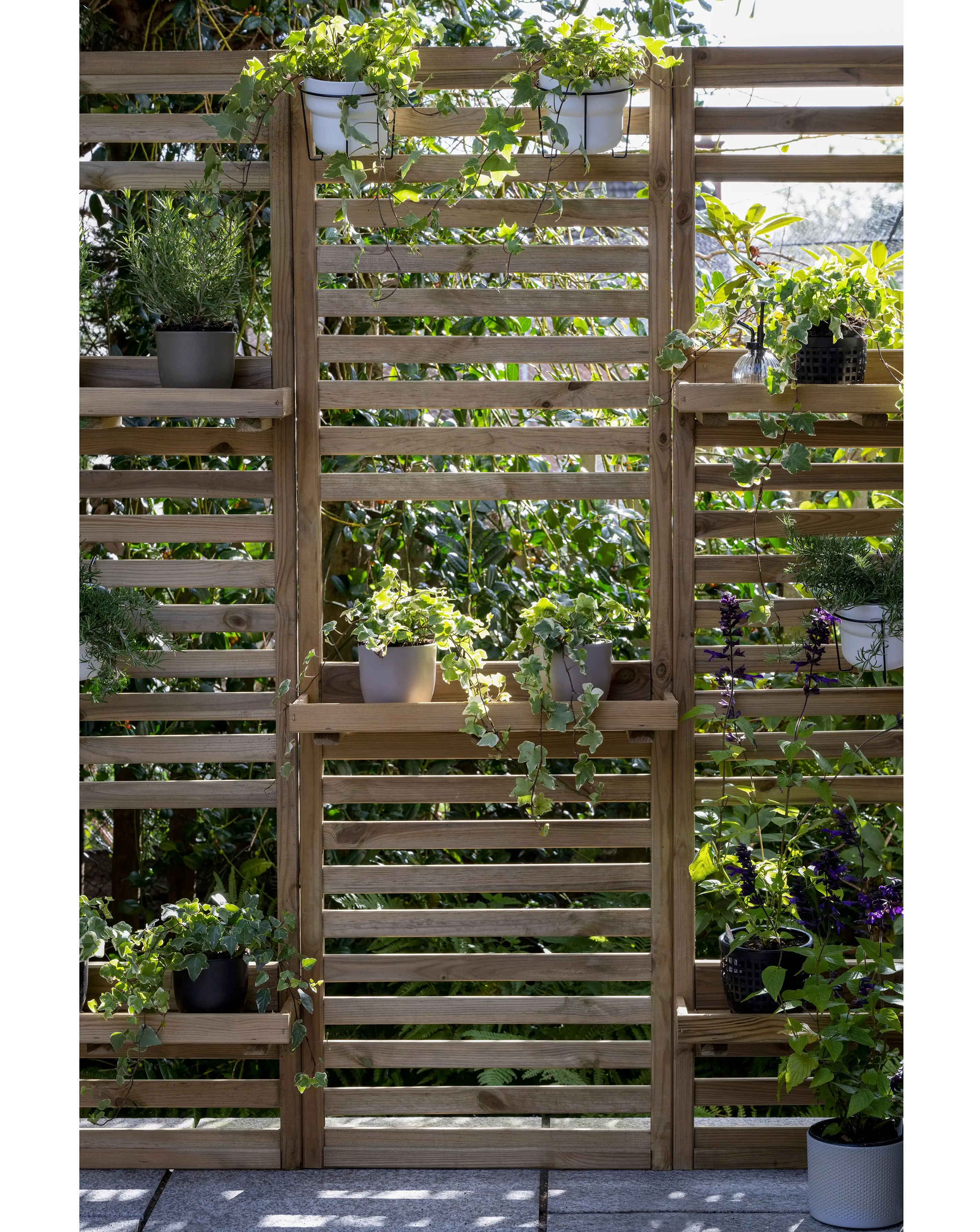 Forest Slatted Wall Planter 1 Shelf 5 Forest Slatted Wall Planter 1 Shelf