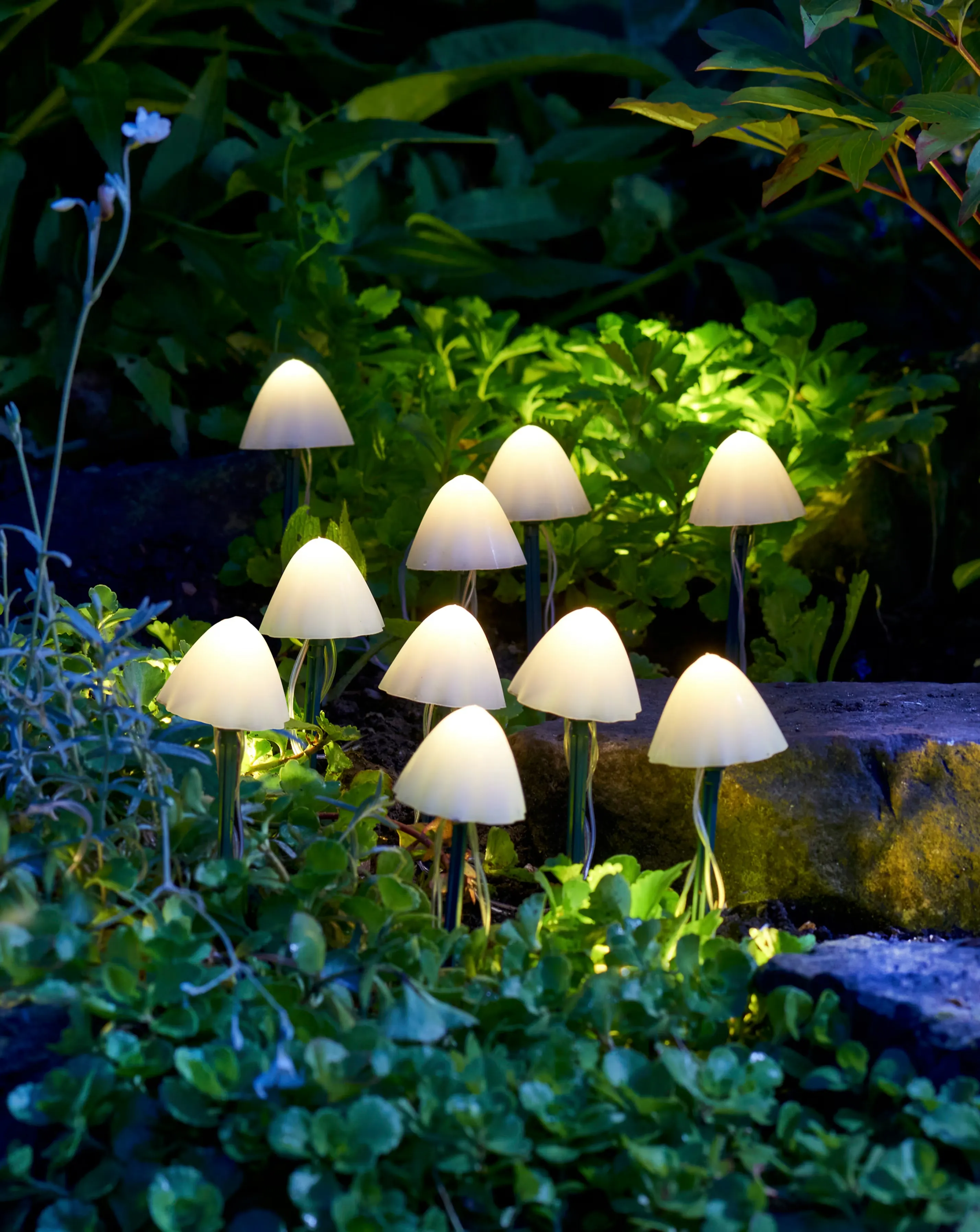 LumiShroom Stake Lights - Set of 10 1 LumiShroom Stake Lights - Set of 10
