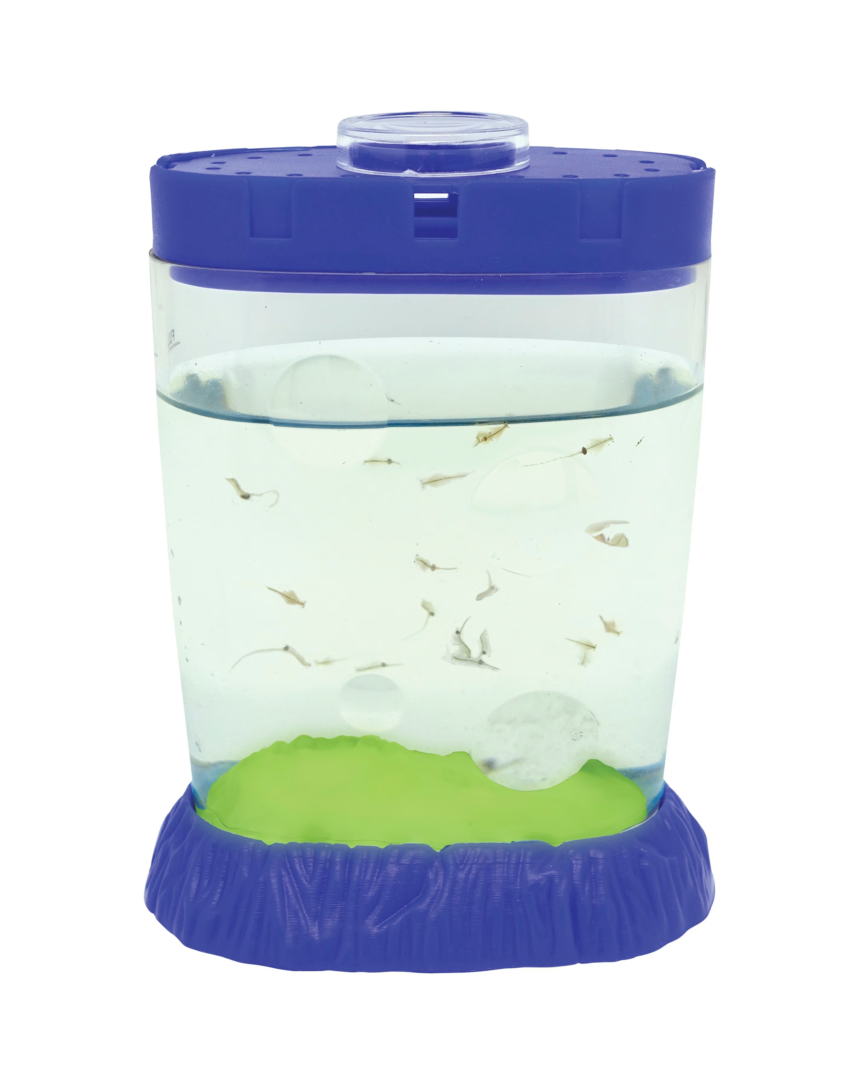 Sea Monkeys Magiquarium 2 Sea Monkeys Magiquarium