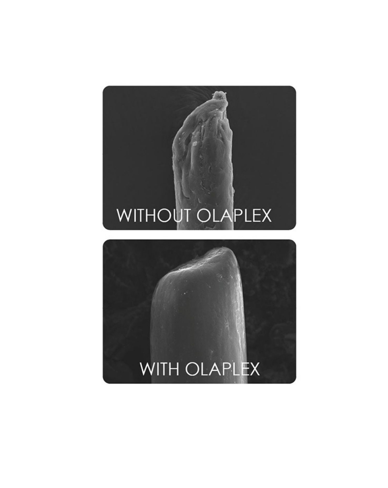 Olaplex No.5 Bond Conditioner 250ml 2 Olaplex No.5 Bond Conditioner 250ml