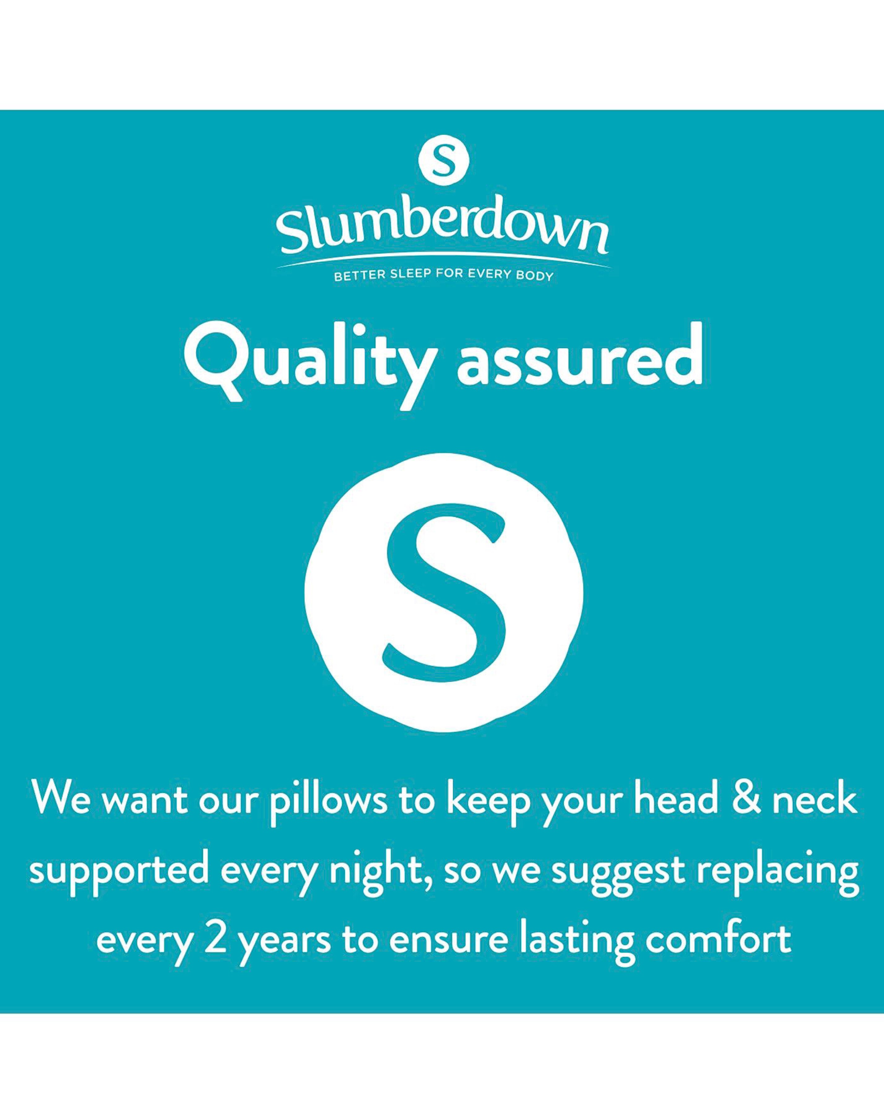 Slumberdown Memory Foam Plus Pillow 4 Slumberdown Memory Foam Plus Pillow